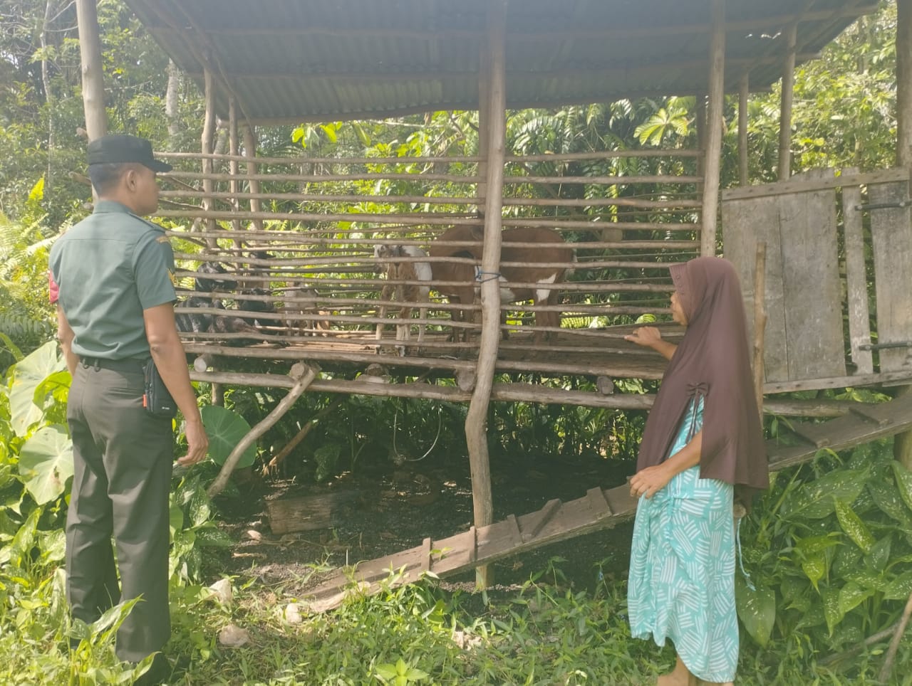 Pelaksanaan Cegah PMK Terus Dilakukan Oleh Serka Eri Efrianto