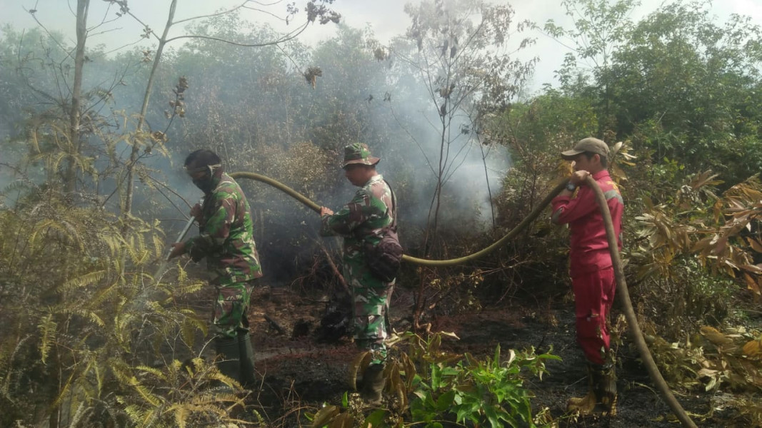 Pelaksanaan Pendinginan Lahan Terus Dilakukan Oleh Babinsa dan Tim