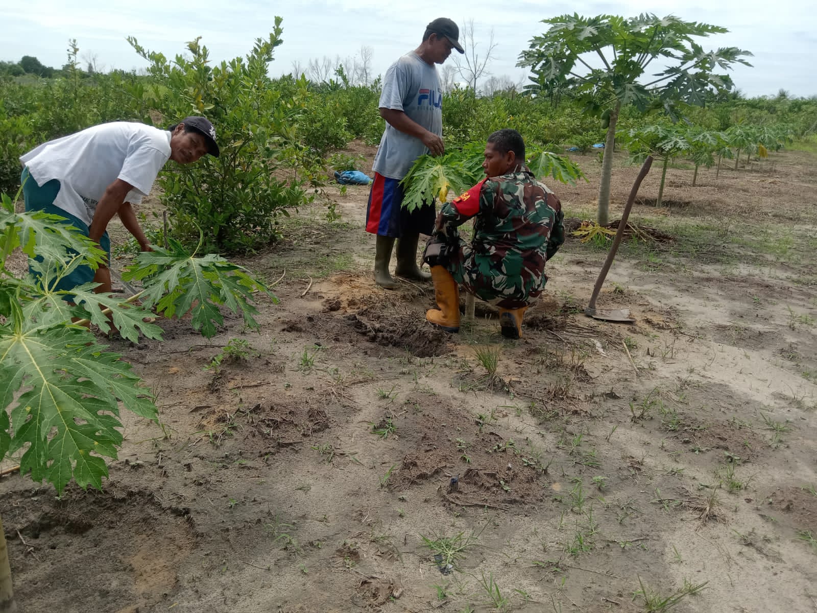 Melalui Babinsa, Kodim 0320/Dumai Melakukan Pendampingan