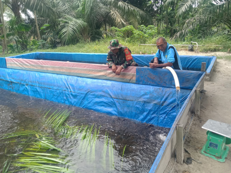 Serka Suandi Bantu Warga Mekarsari dalam Pengembangan Budidaya Ikan Lele