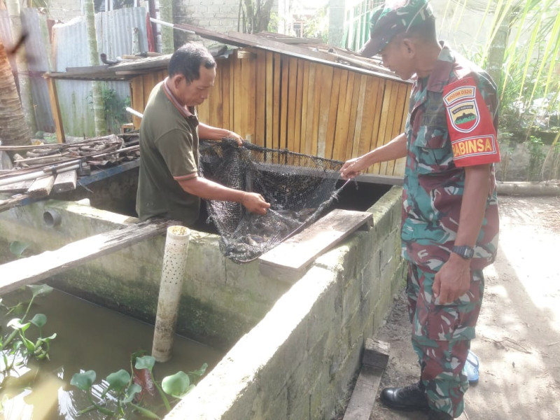 Sertu Nono Dampingi Peternak Lele