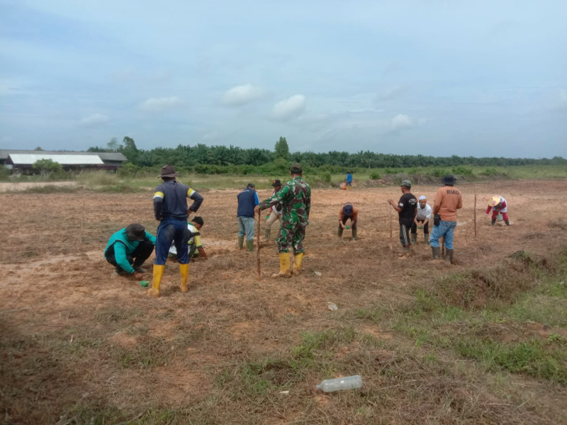 Penanaman Padi Gogo Oleh Kodim 0320/Dumai di Dua Tempat