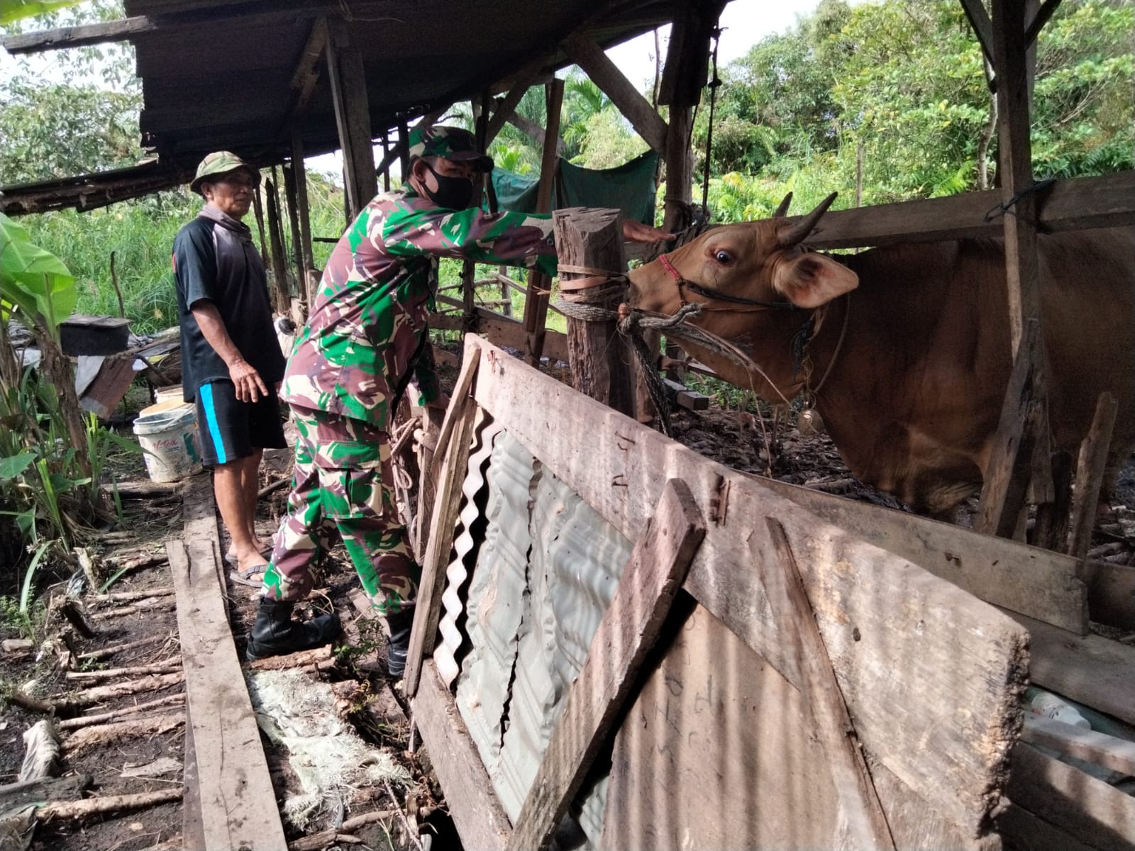 Sertu Sugianto Harap Peternak Perhatikan Kebersihan Kandang