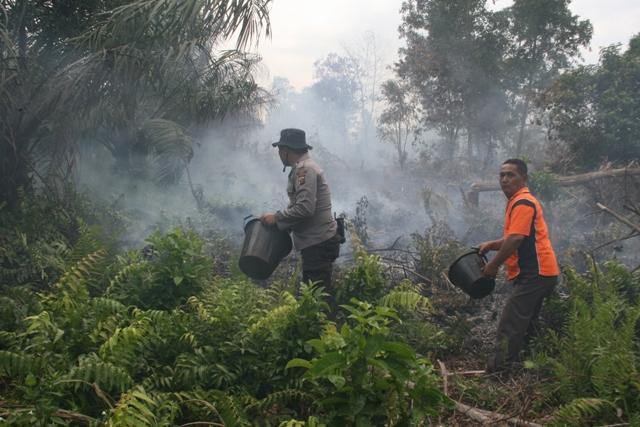 Kebakaran Lahan, Si Jago Merah Nyaris Bakar Rumah Warga Kelurahan Jaya Mukti RT 16