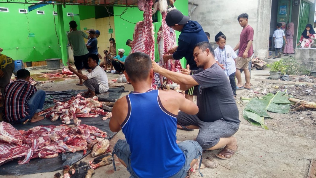 Musala Al Furqon RT 18 Lubuk Gaung Sembelih 3 Ekor Sapi dan 7 Kambing