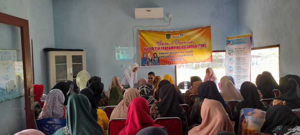 TPK Kecamatan Gaung Dapat Pelatihan dari DP2KBP3A Inhil Terkait Stunting
