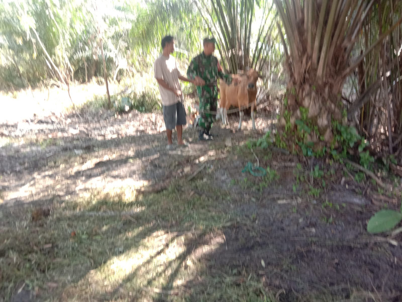 Dengan Berpatroli, Serda Agustinus Laksanakan Penyampaian Cegah PMK