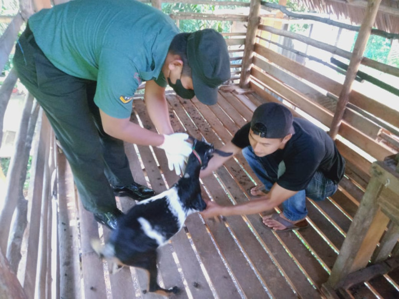 Serda K.Sinaga Laksanakan Sosialisasi Pencegahan PMK