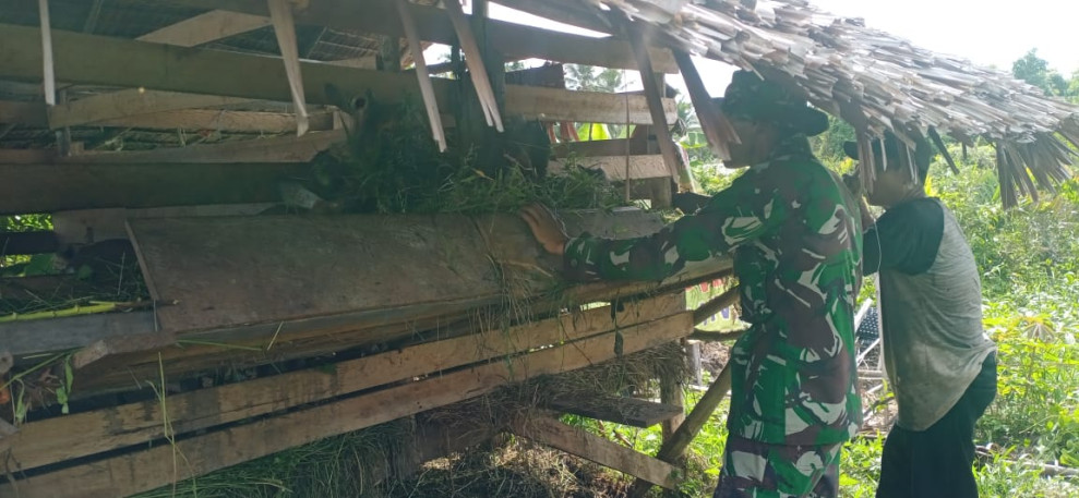 Pastikan Wilayahnya Aman Dari Virus PMK, Serda Chanro Laksanakan Sosialisasi