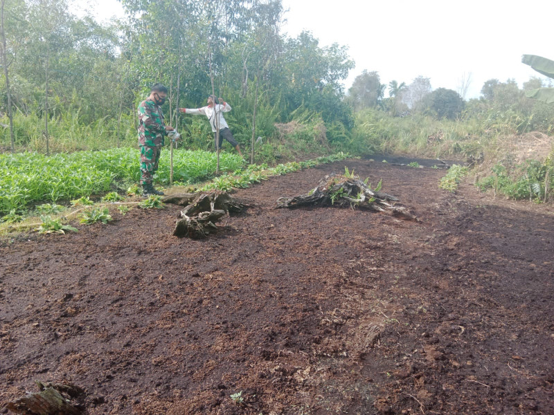 Sertu Mahyudin Bantu Warga Kelurahan Purnama Kembangkan Pertanian Bayam