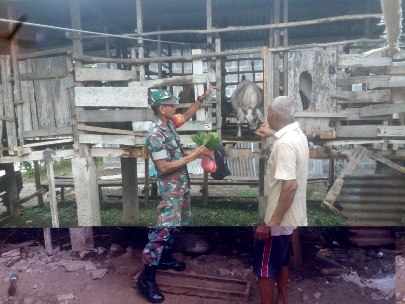 Sertu Nono Berikan Tips Untuk Mencegah PMK