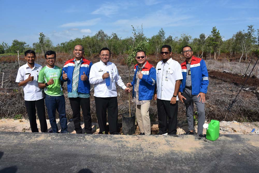 Sebanyak 450 Batang Pohon Ketapang Kencana, Hasil Dari Donasi Energy Run Pertamina 2019 Ditanam