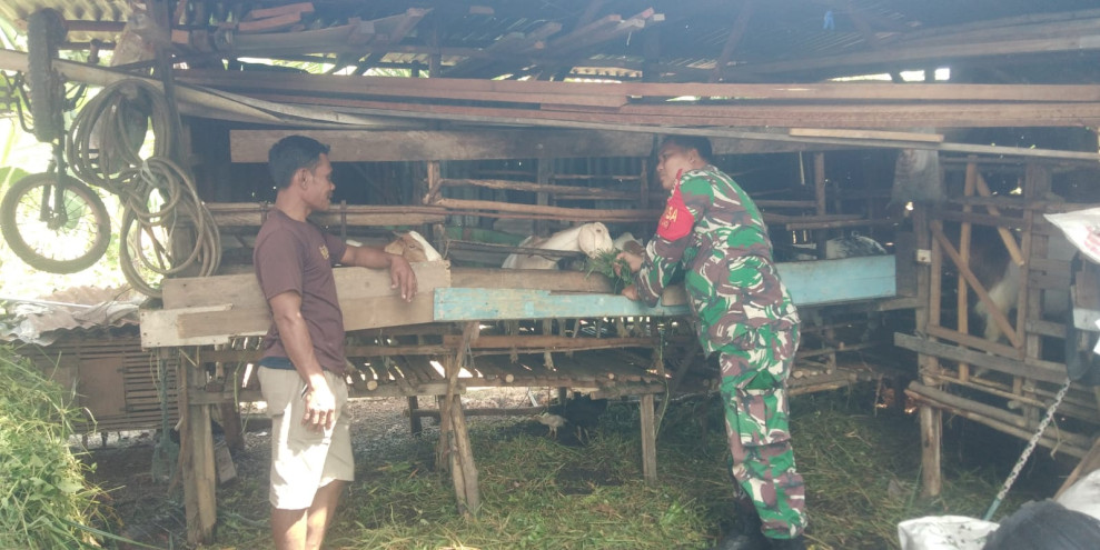 Serka Supriadi Imbau Peternak di RT 4 Jaga Kebersihan Kandang dan Kesehatan Ternak