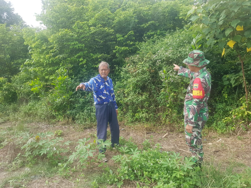 Babinsa Koramil 01/Dumai Dampingi Petani Semangka dan Sosialisasikan Bahaya Karhutla