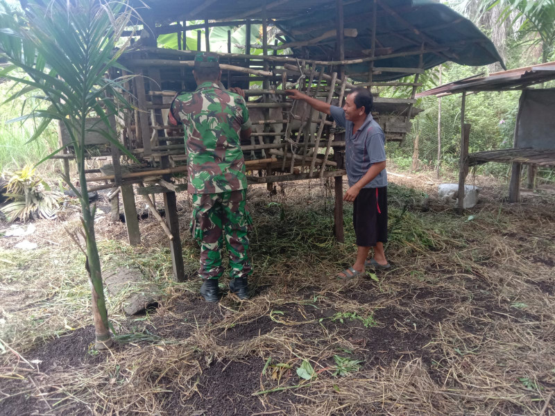 Serda Agustinus.H Dari Koramil-01/Dumai Ingatkan Warga RT 04 Tentang Kesehatan Ternak
