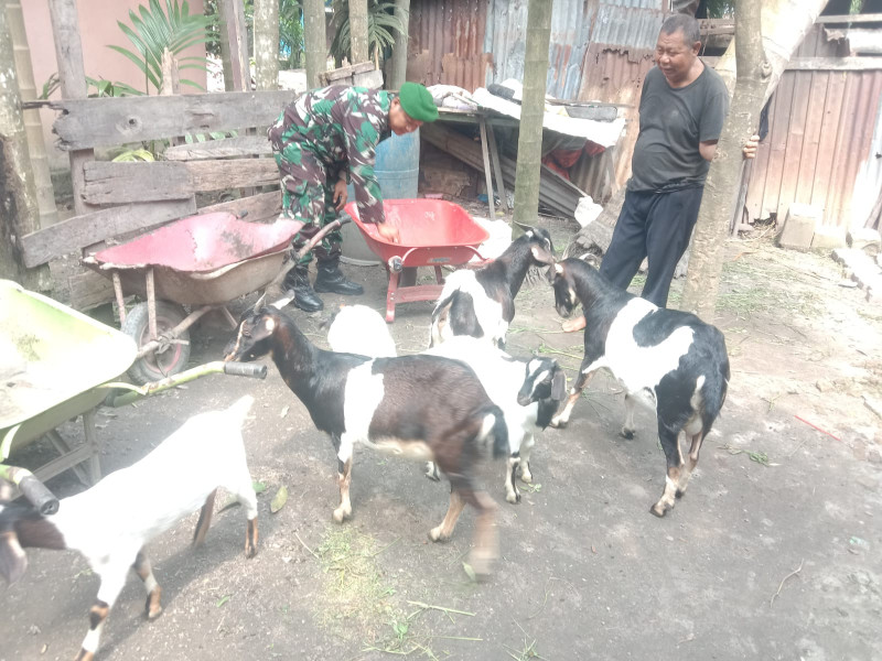 Di RT 03, Serda SMP Sinaga Melaksanakan Sosialisasi Pencegahan PMK