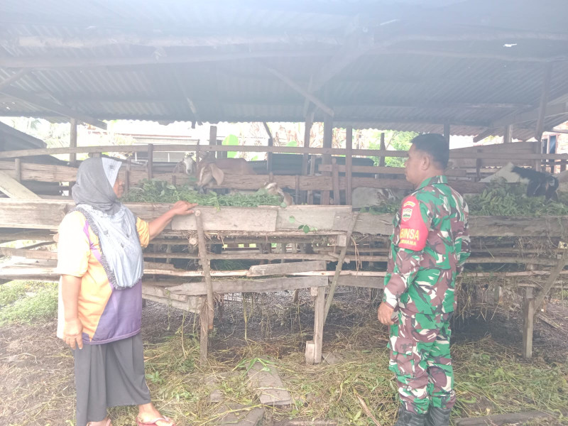 Sertu Mahyudin Sosialisasikan Pencegahan PMK di Peternakan RT 07