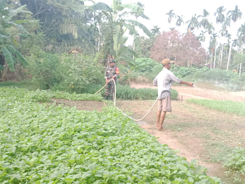 Giat Sertu Mahyudin Dampingi Petani Bayam
