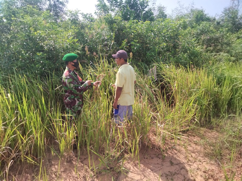 Sertu Sugianto Berikan Pemahaman Kepada Masyarakat Terkait Pencegahan Karhutla