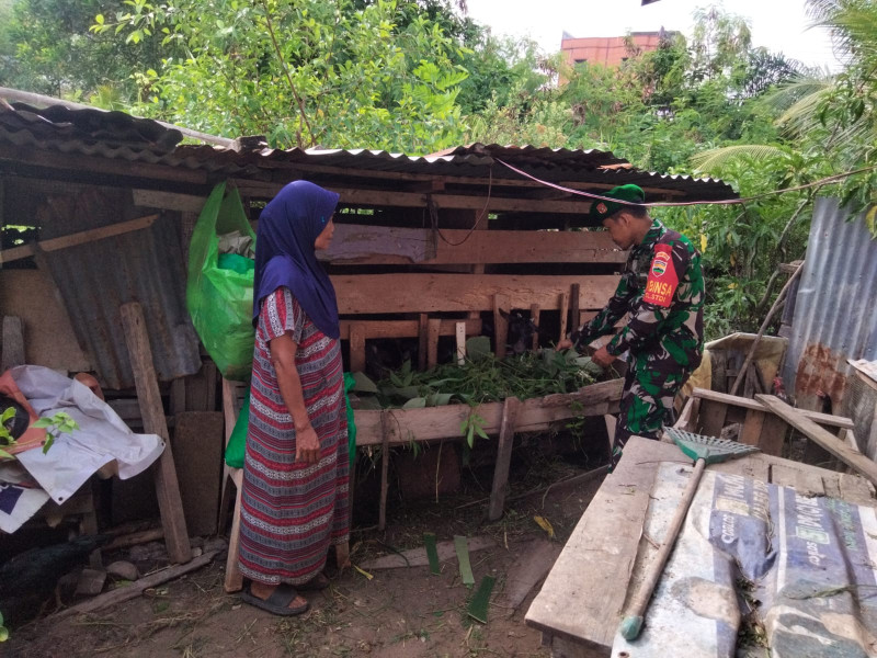 Koramil-01 Kodim 0320/Dumai Beri Pendampingan Peternak Kambing di Kelurahan STDI