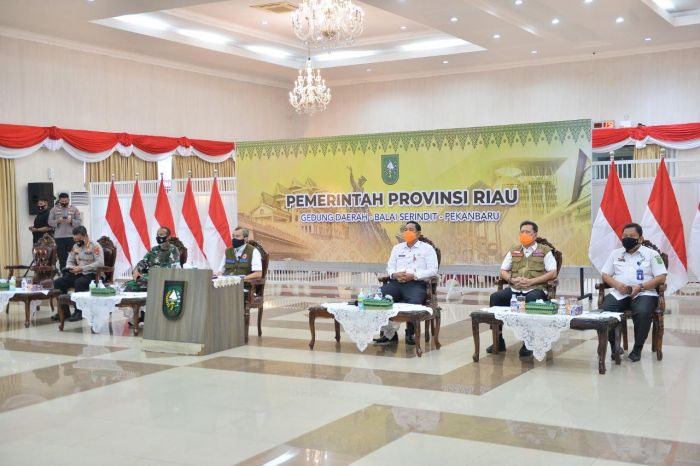 Syamsuar Ikut Rapat Penanganan Covid-19 Bersama Menko Maritim