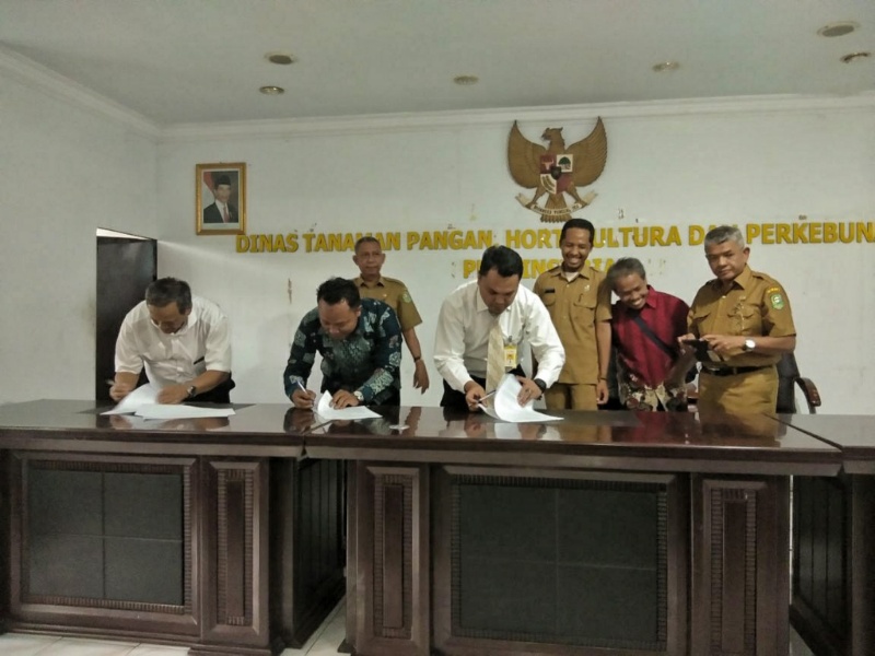 Poktan Dayun Terima Hibah Replanting Rp.25 juta per Hektare