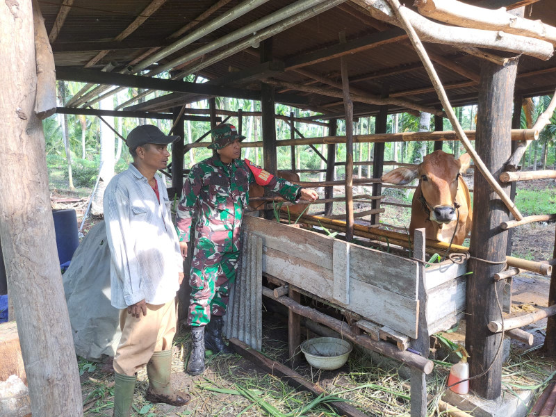 Serda Andri Widodo Ingatkan Peternak Dumai Selatan Jaga Kebersihan Kandang