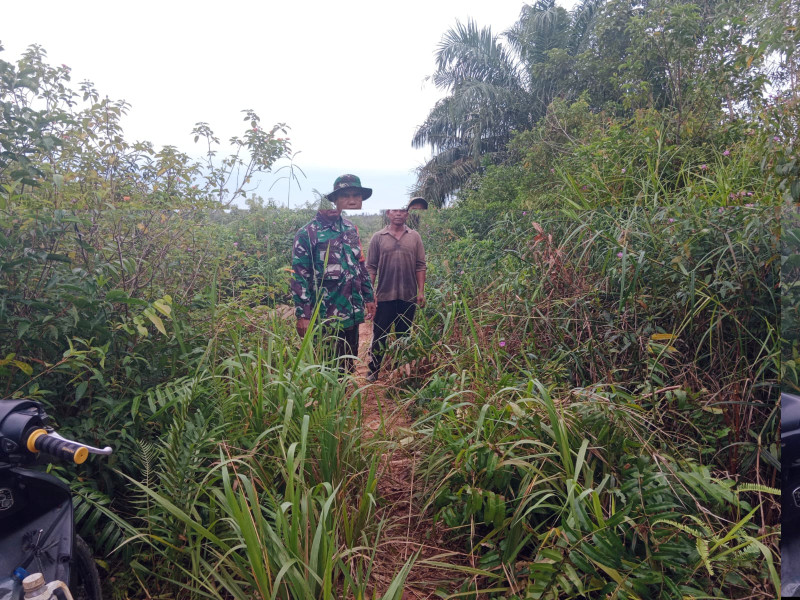 Babinsa Koramil-01/Dumai Gelar Patroli Karhutla di Kelurahan Purnama