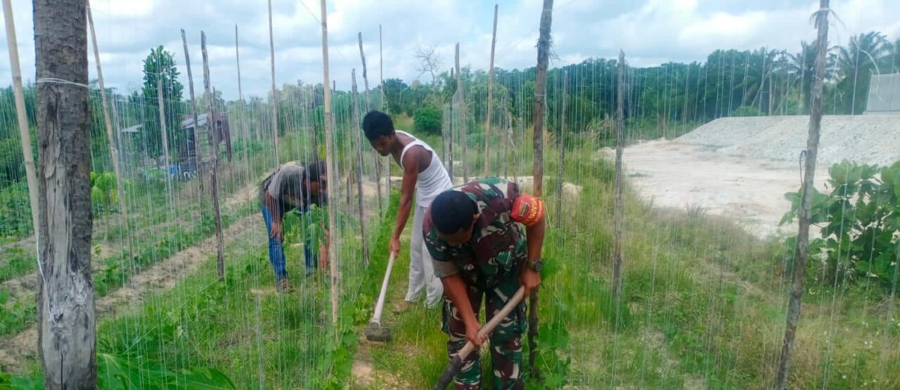 Serma Azman Dampingi Petani Selada dan Mentimun