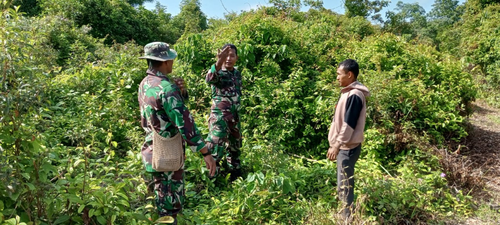 Monitoring Wilayah Oleh Personil Koramil 06 Merbau Untuk Mencegah Karhutla