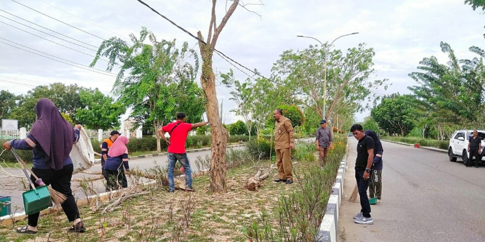 DLH Rohil Gerak Cepat Bereskan Pohon Tumbang di Depan Kantor Kajari