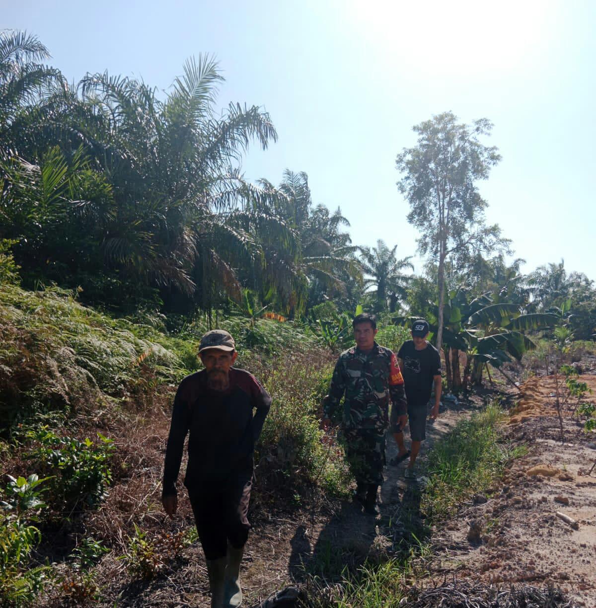 Pencegahan Karhutla Dengan Patroli dan Sosialisasi Oleh Sertu Mahyudin