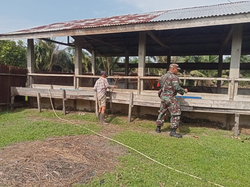 Serka Fahrizal Purba Ajak Masyarakat Bersama-sama Cegah PMK
