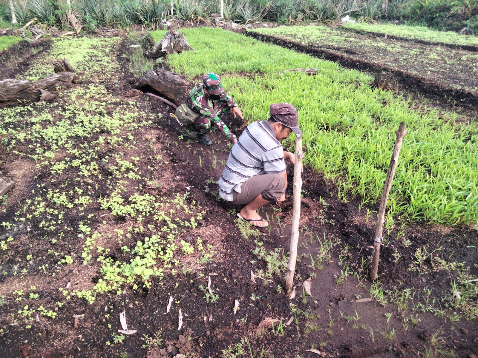 Babinsa Koramil 01 Laksanakan Giat Pendampingan Karya Nyata