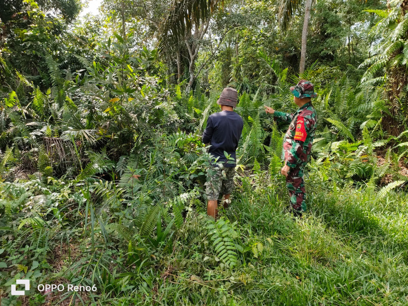Sertu Sutarno Melaksanakan Sosialisasi Pencegahan Karhutla