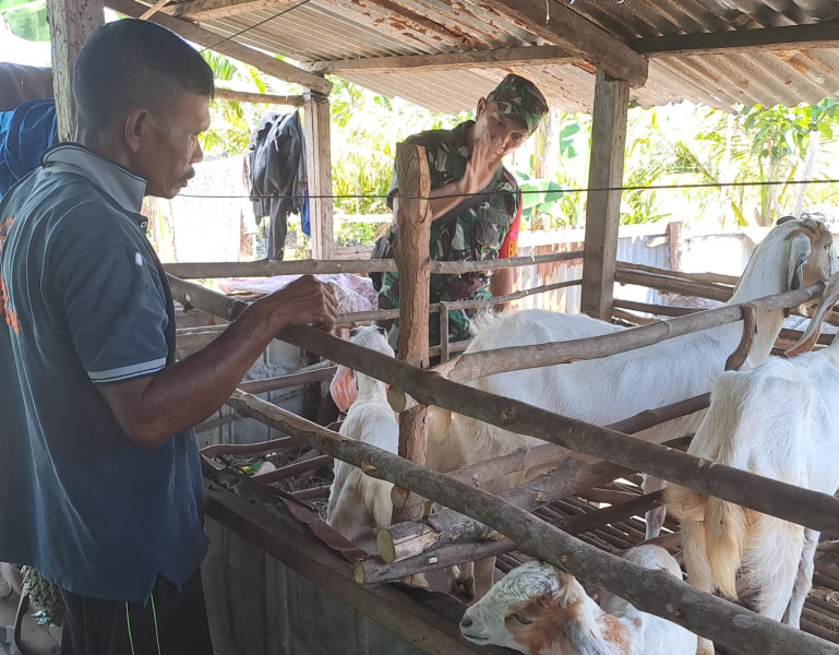 Peltu Wawan Cek Hewan Ternak di RT 04