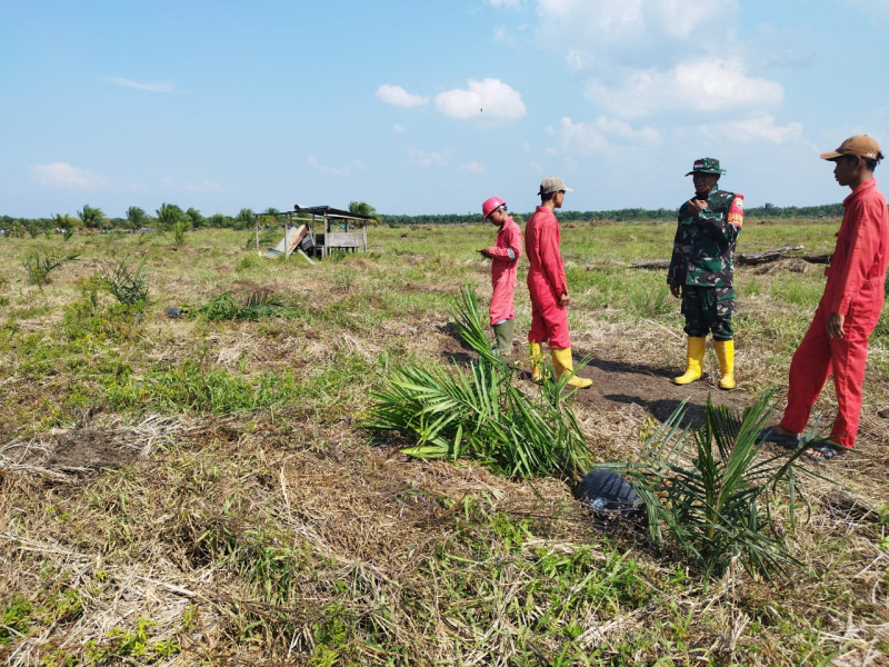 Serda Miftah Terus Lakukan Pemantauan Wilayah Cegah Karhutla