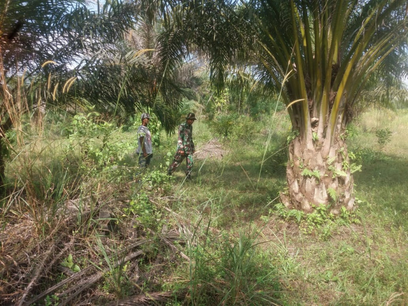 Himbauan Sertu Nono Kepada Masyarakat Untuk Mencegah Karhutla
