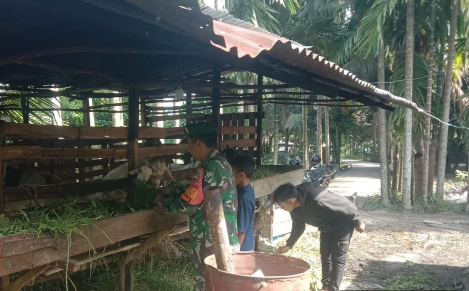 Serda SMP Sinaga Tekankan Kesehatan Ternak Dalam Sosialisasi PMK di Dumai Timur