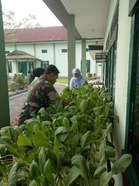 Kodim 0320/Dumai Panen Sayur Hidroponik