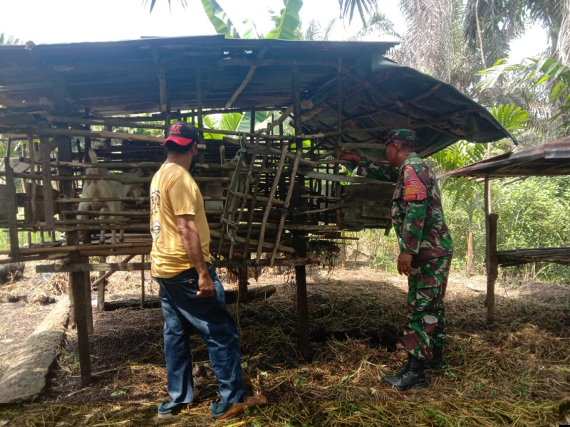 Serda Agustinus.H dari Koramil-01/Dumai Lakukan Sosialisasi PMK