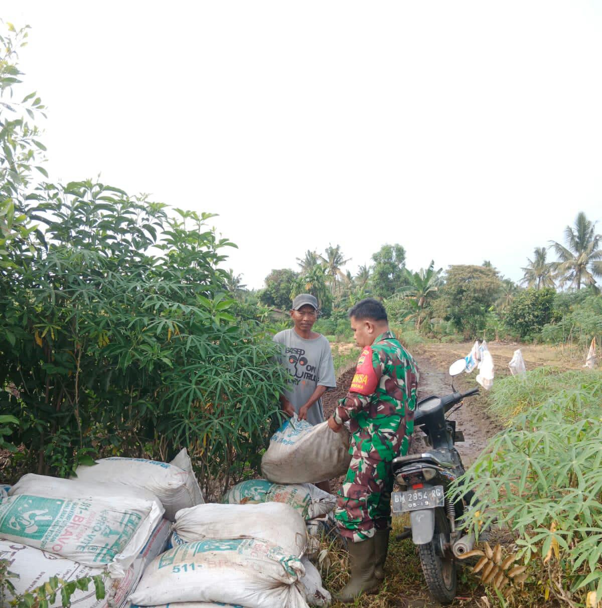 Pendampingan Sertu Mahyudin Kepada Petani Kangkung