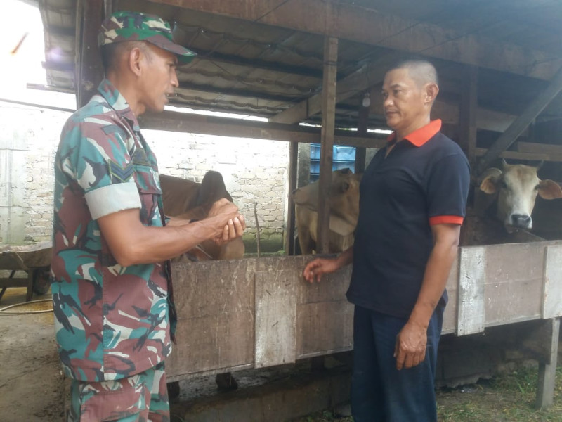 Sertu Nono Sampaikan Bahaya PMK Beserta Ciri-cirinya