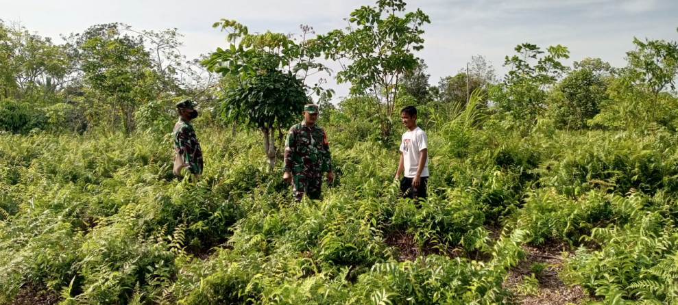 Pencegahan Karhutla Dilaksanakan Oleh Sertu Jainal Arifin
