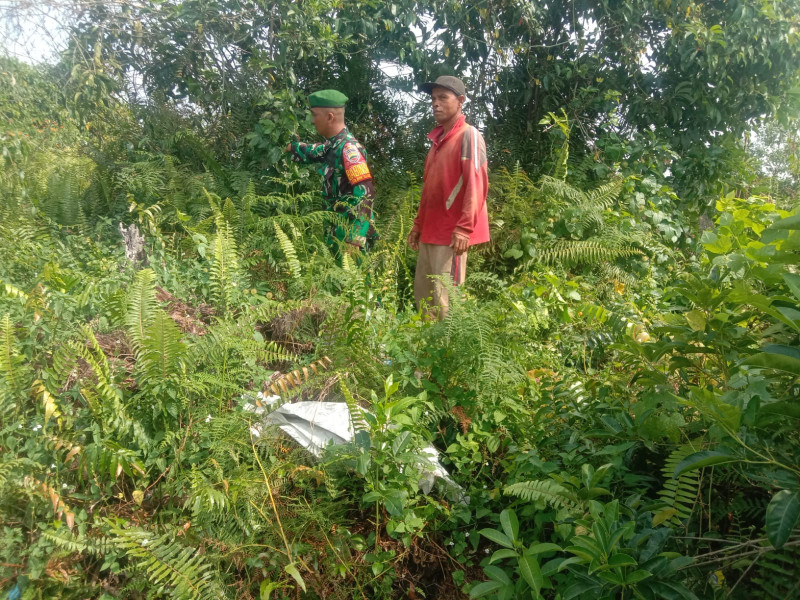 Babinsa Kelurahan Bagan Keladi Intensifkan Patroli Karhutla di RT 06
