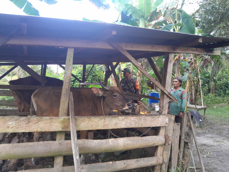 Giat Serma F Purba Dalam Mengedukasi Peternak