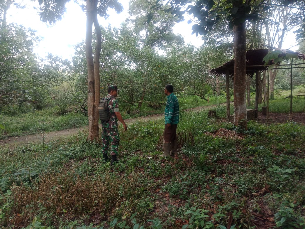 Kopda Togatorop Melaksanakan Patroli dan Sosialisasi Cegah Karhutla