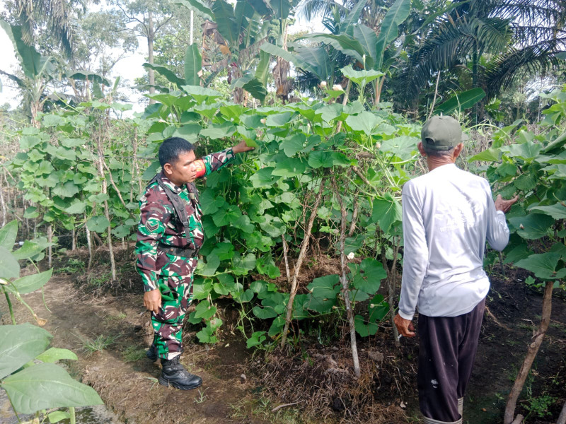 Babinsa Kelurahan Purnama Perketat Patroli Karhutla dan Dampingi Petani Lokal