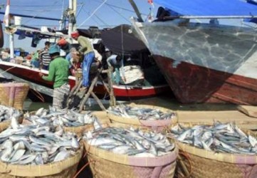 Sebanyak 63 Kapal Untuk Nelayan Riau Sudah Dilelang