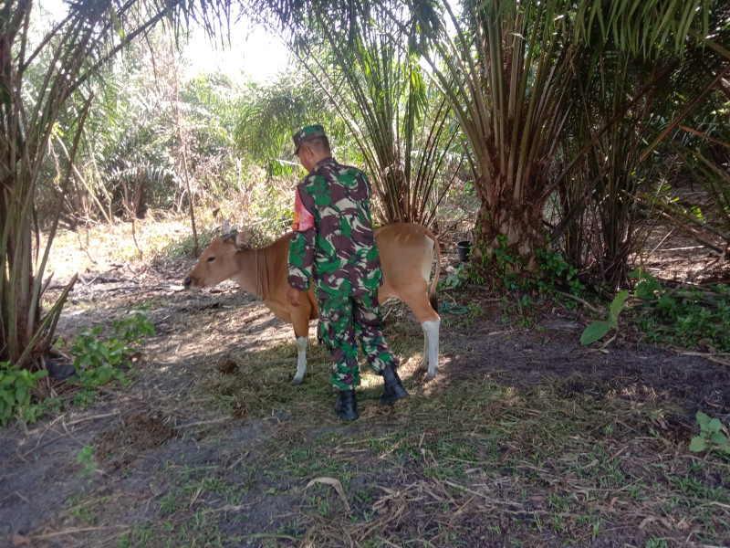 Serda Agustinus Sampaikan Ciri-ciri PMK